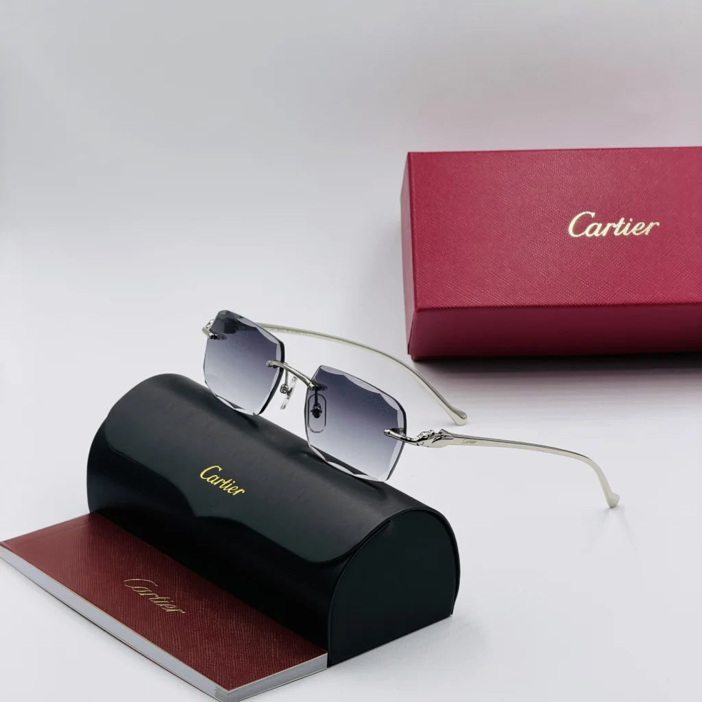 CART-IER CT00270 Argent