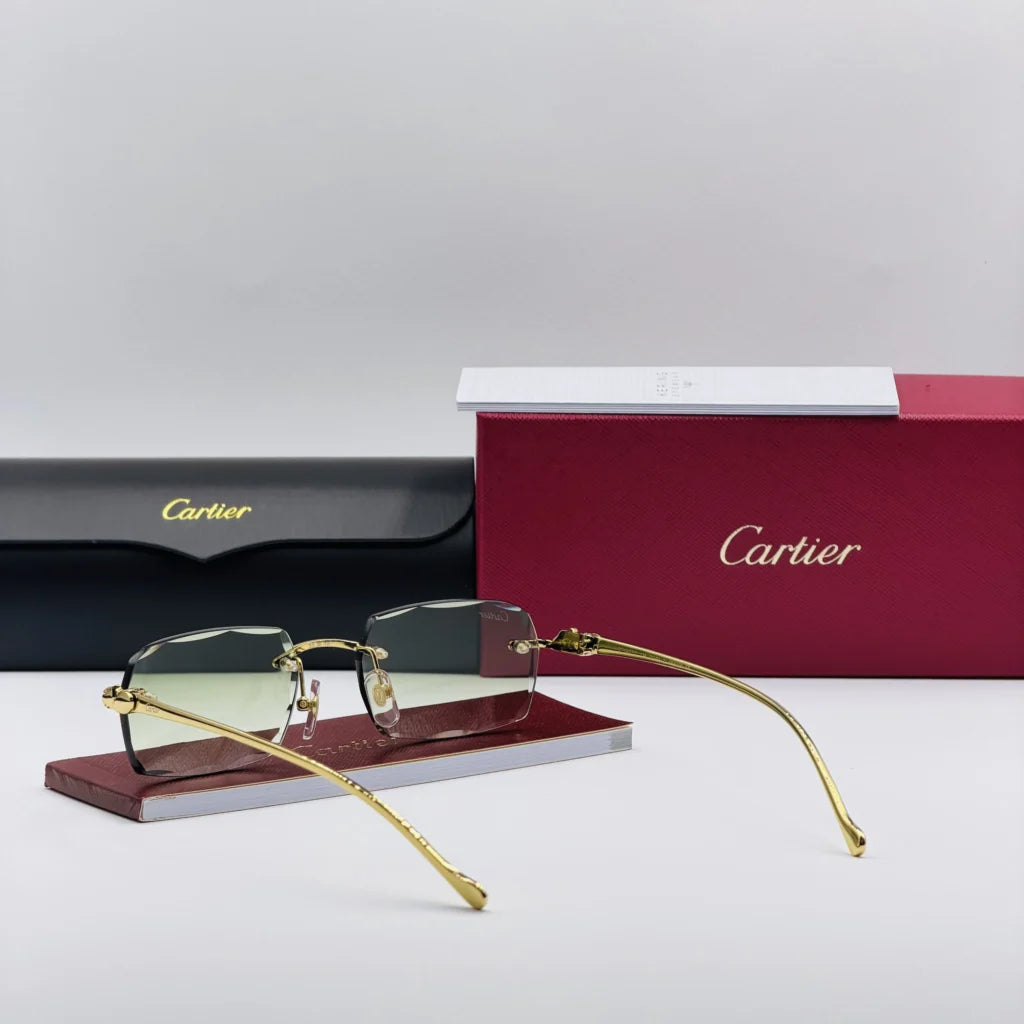 CART-IER CT00270 Vert