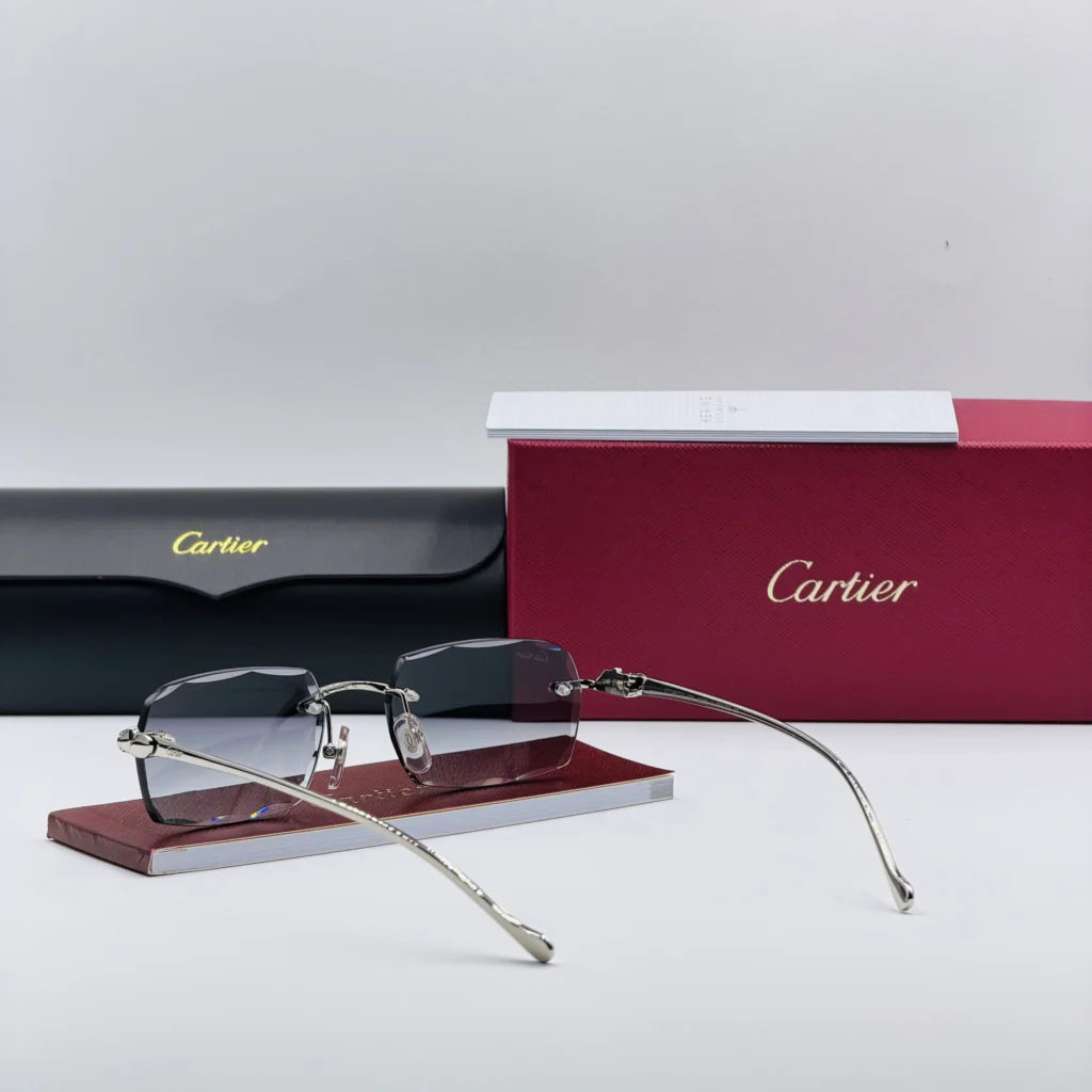 CART-IER CT00270 Argent