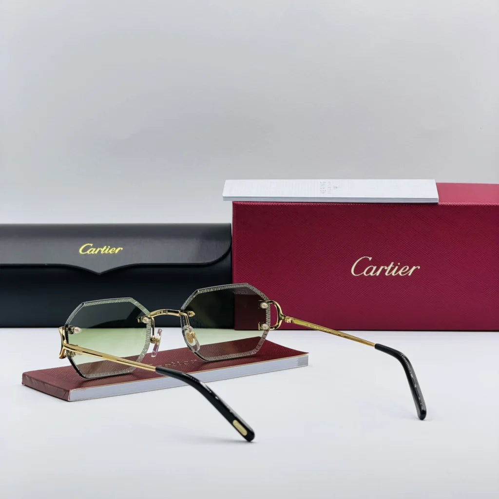 CART-IER CT009 Vert