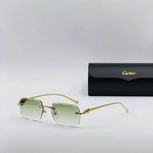 CART-IER CT00270 Vert