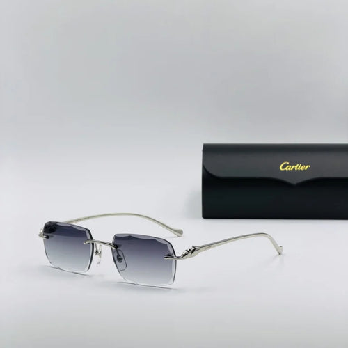 CART-IER CT00270 Argent