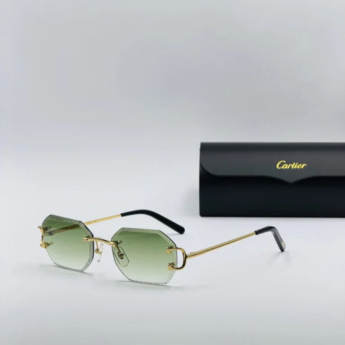 CART-IER CT009 Vert