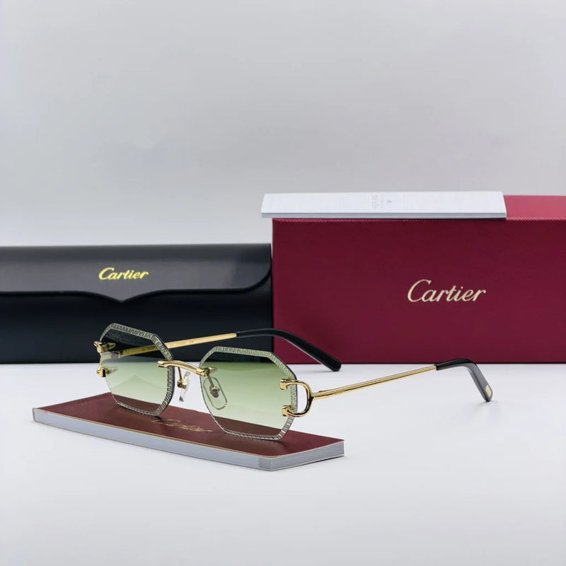CART-IER CT009 Vert