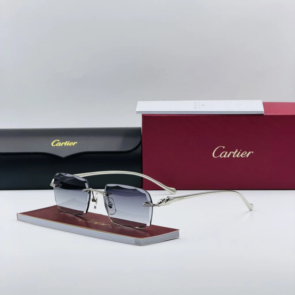 CART-IER CT00270 Argent