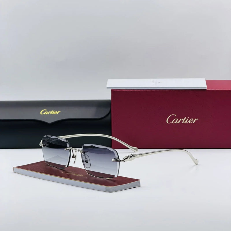 CART-IER CT00270 Argent