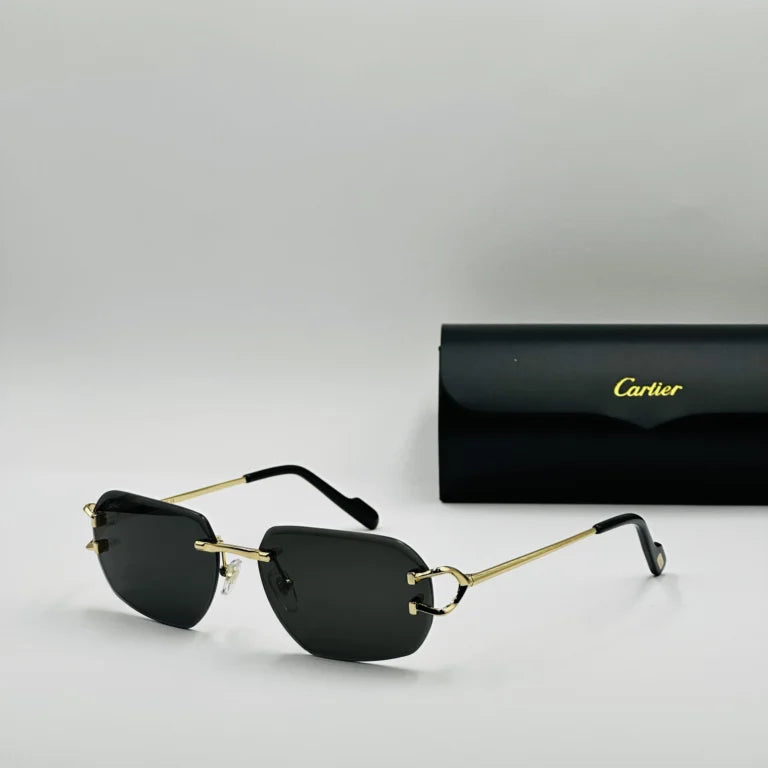 CART-IER CT0328S Noir