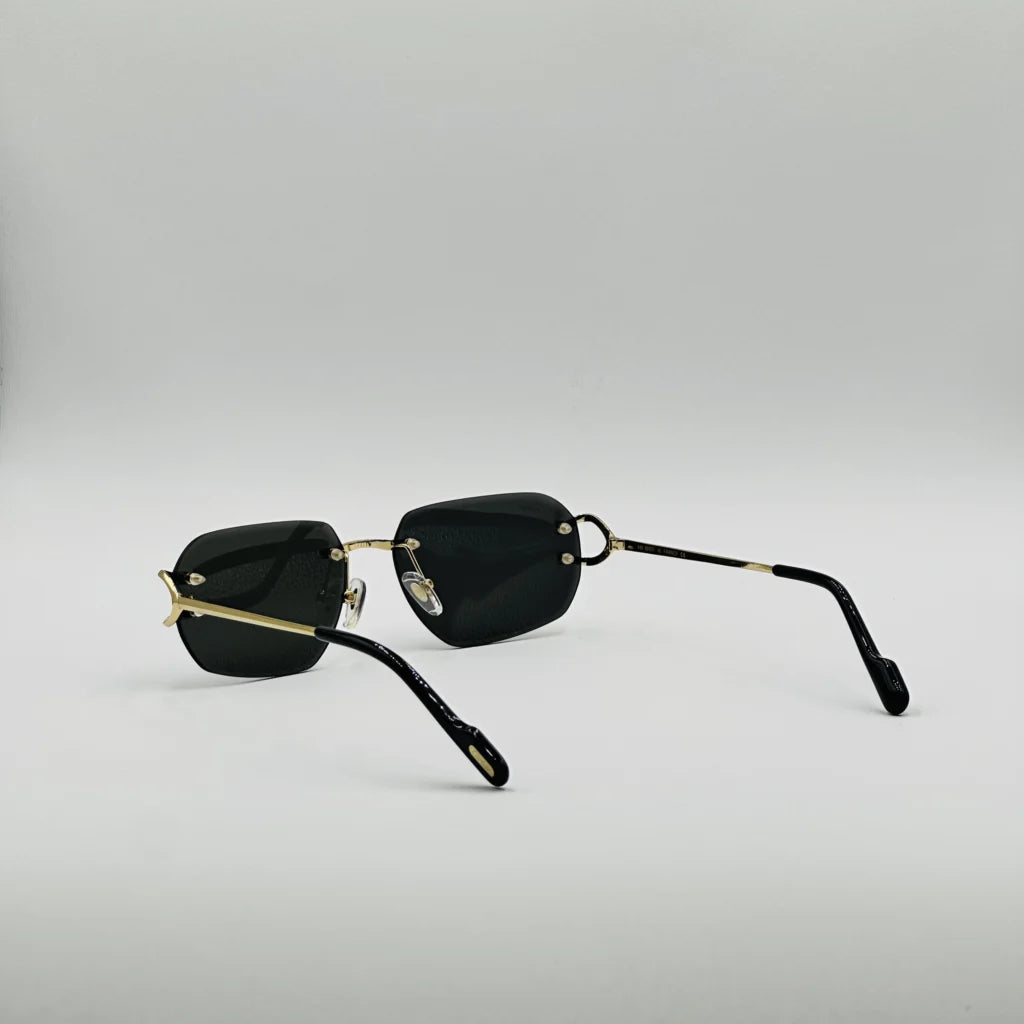 CART-IER CT0328S Noir