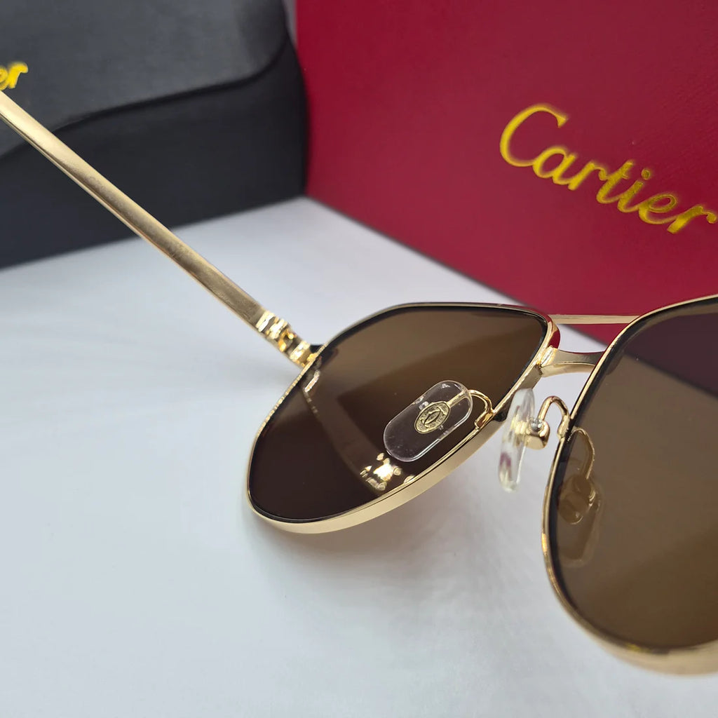 CARTIER SANTOS CT0461S doré marron