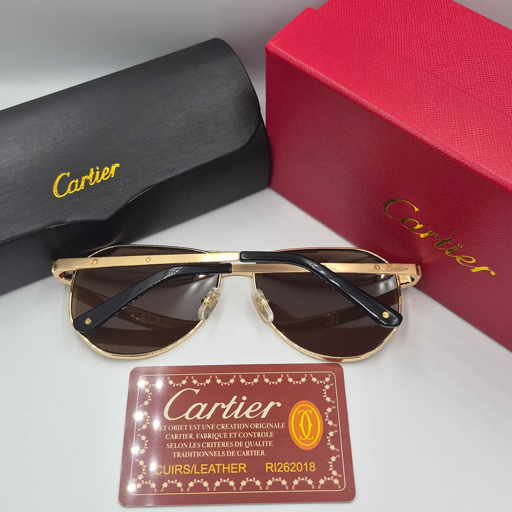 CARTIER SANTOS CT0461S doré marron