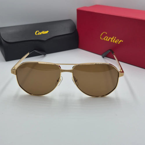 CARTIER SANTOS CT0461S doré marron