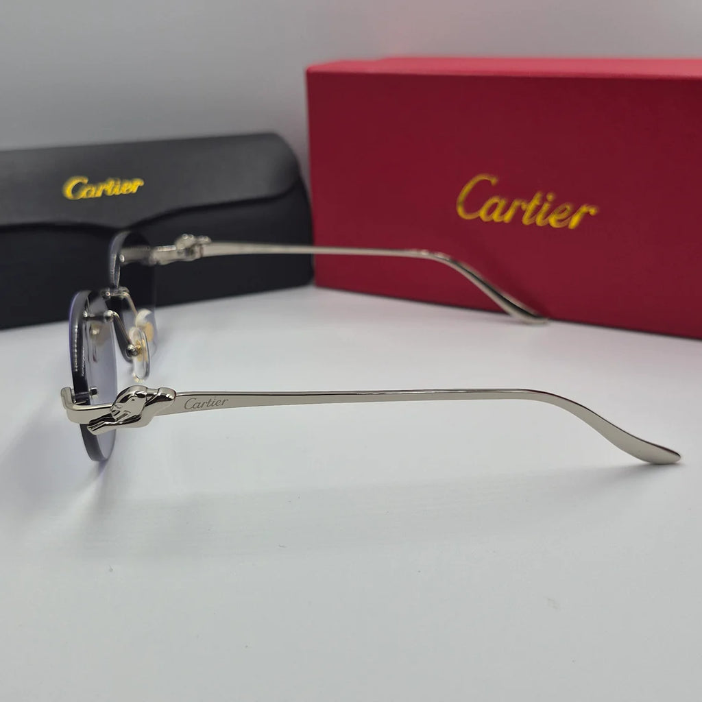 CARTIER PANTHERE CT0504S argent noir deg