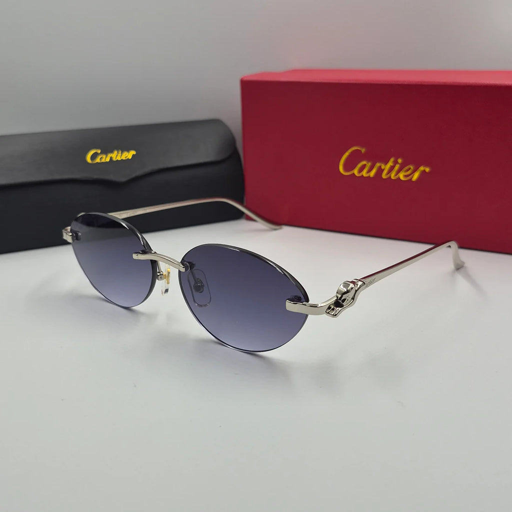 CARTIER PANTHERE CT0504S argent noir deg