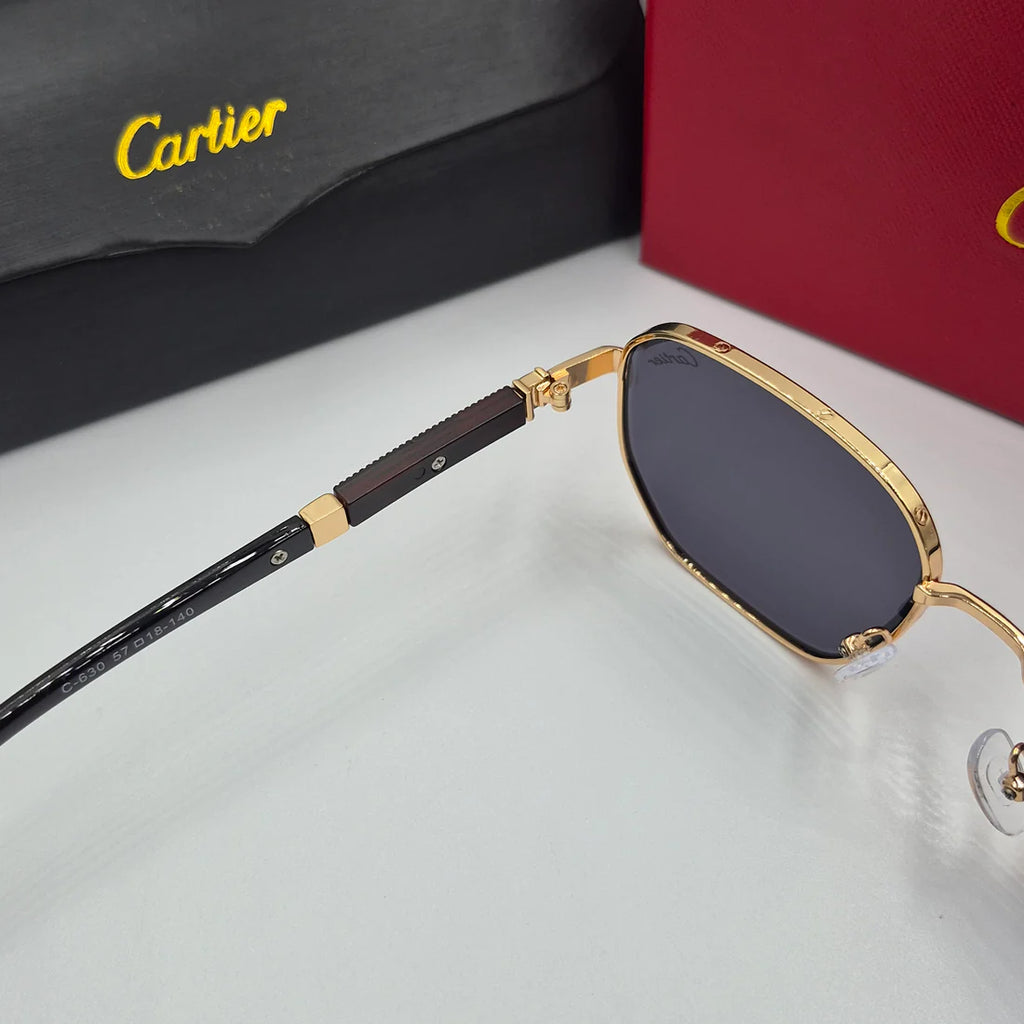 CARTIER santos doré noir