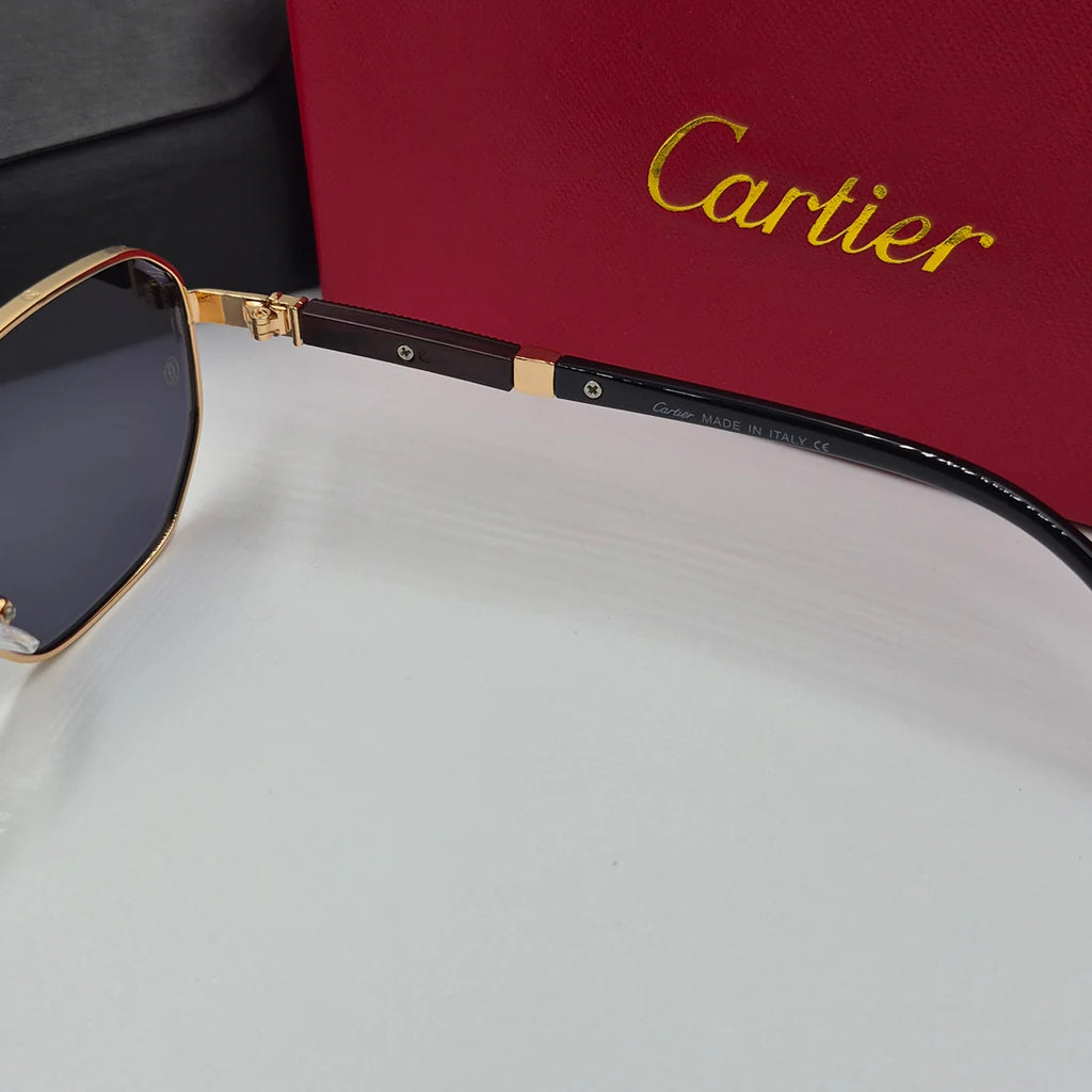 CARTIER santos doré noir