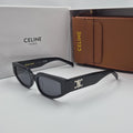 CELINE Triomphe CL40269N argent noir